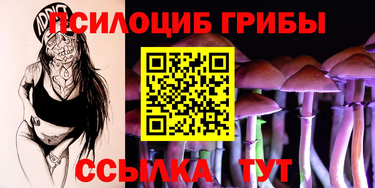 Галлюциногенные грибы Psilocybe Уварово